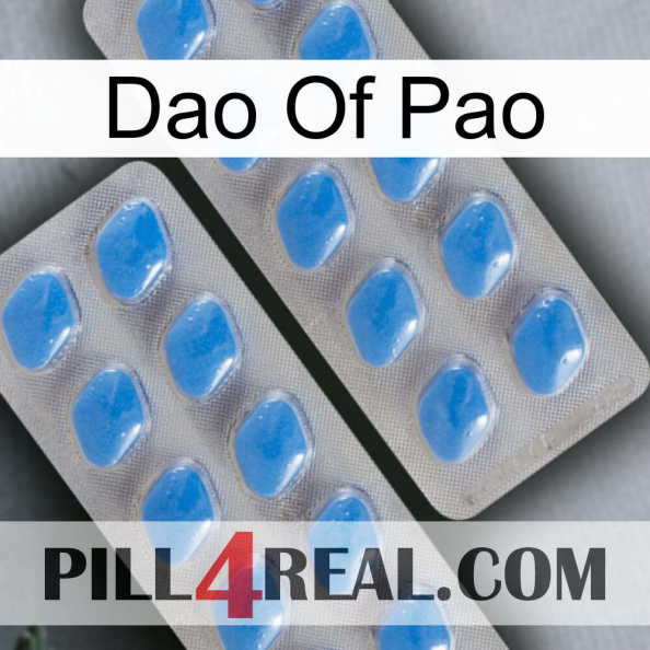 Dao Of Pao 23.jpg